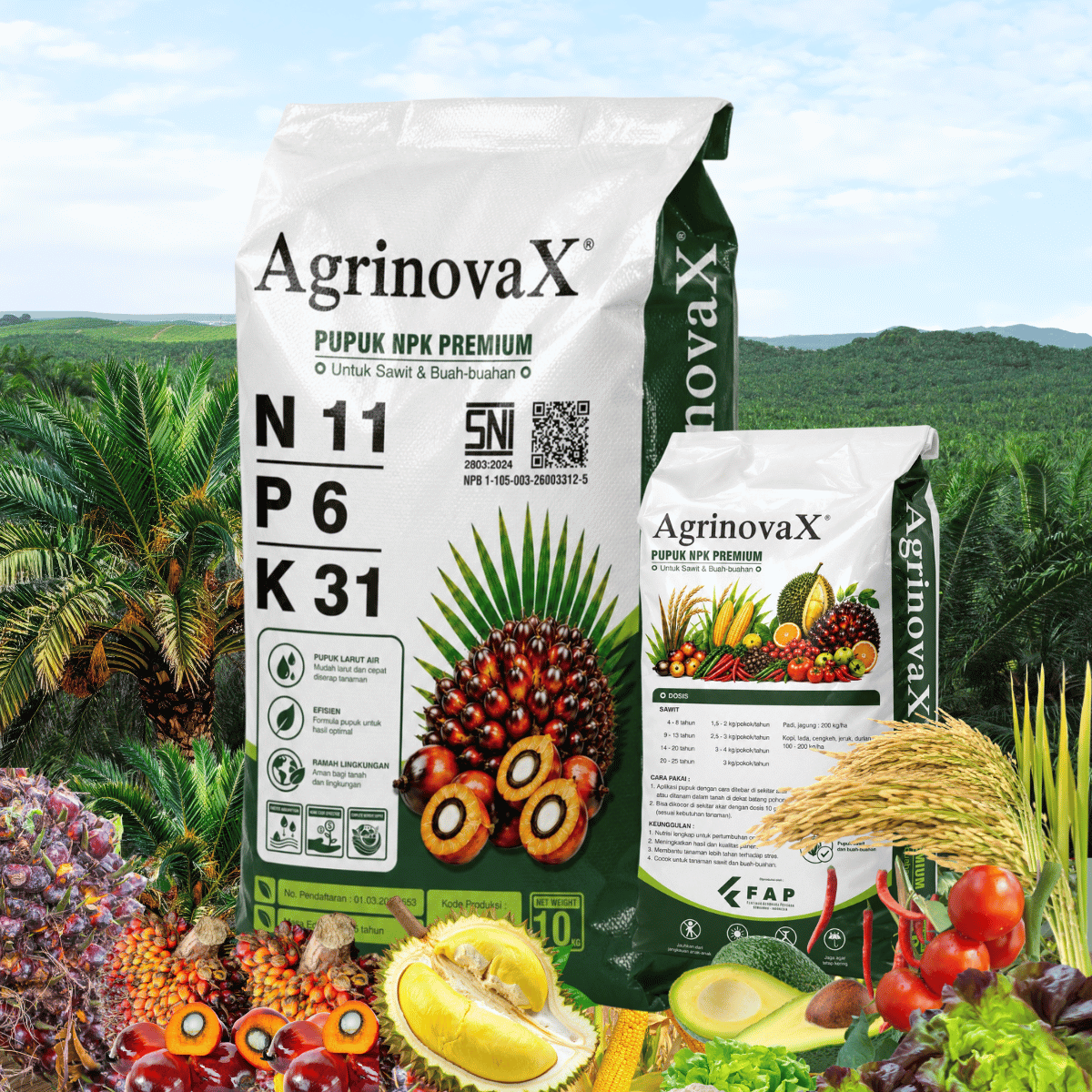 AgrinovaX® NPK 11-6-31